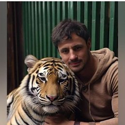 ���� �����, ���������, 39 ��� - ��������� 8 ������� 2024