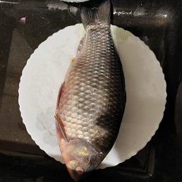 ��, �����������, 54 ����