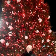 ����, , ������