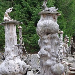 ���� �������, �����-���������, 61 ��� - ��������� 3 ������ 2023