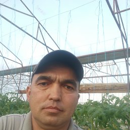 ���� �������, ������, 44 ���� - ��������� 8 ������ 2025