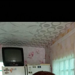 , 57, 