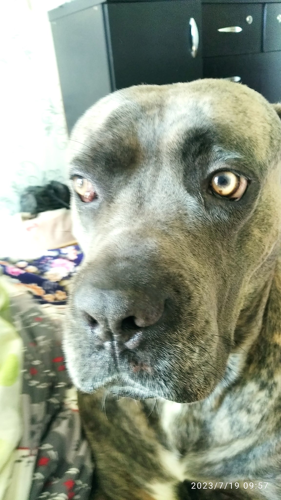 Zura Chantladze - 3  2025  08:38