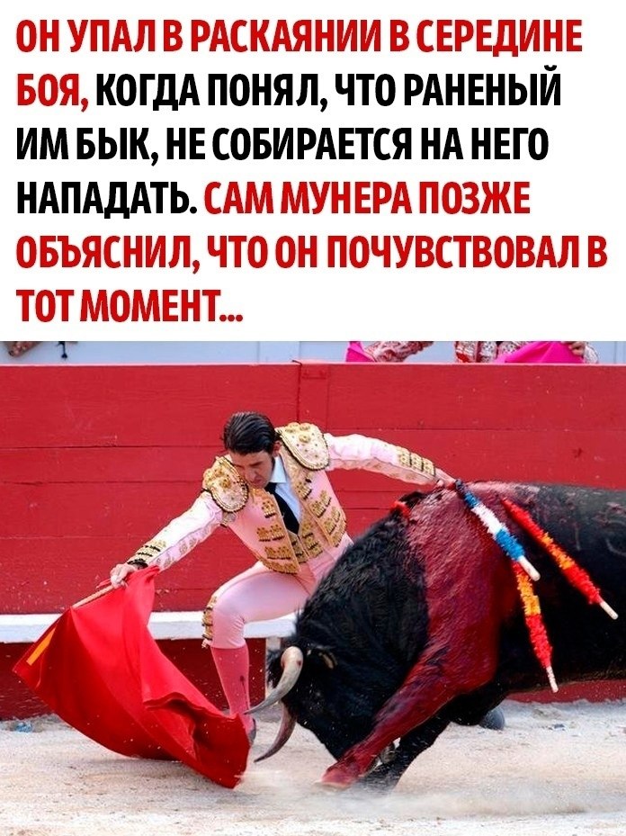 ,  ,  ,     . - 2