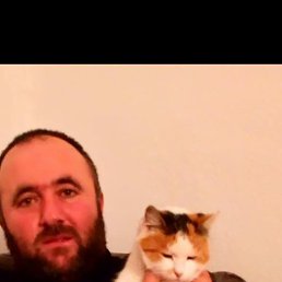 ����� �., 41 ���, �������