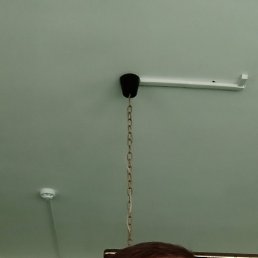 , 53, 
