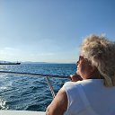 ���� ���������, ������, 67 ��� - ��������� 21 ����� 2024 � ������ ���� ����������