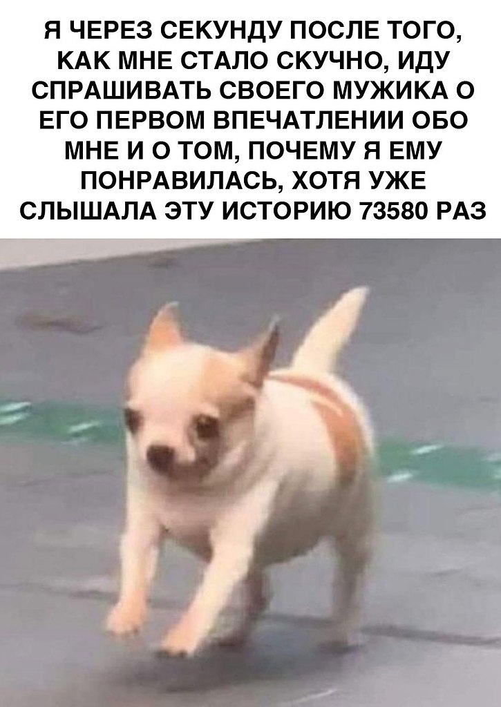    - 14  2025  22:37