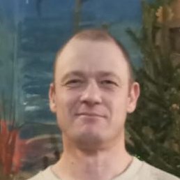 ������, ������, 40 ���