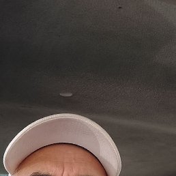 , 65, 