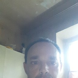 , 41, 