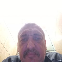 , 54, 