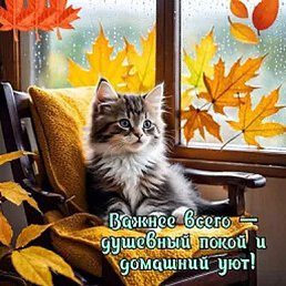 ����, ������ ��������, 71 ���