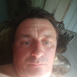 , 44, 