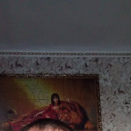 , 50 , 