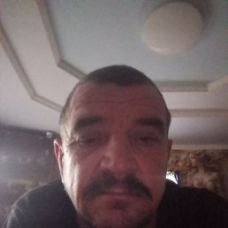 ����, ������, 48 ���