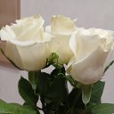 ���� ����, ������, 41 ��� - ��������� 22 ������� 2026 � ������ ���� ����������