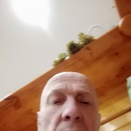 ������, 65 ���, ������