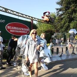 ���� �����, �����-���������, 41 ��� - ��������� 24 ������ 2024