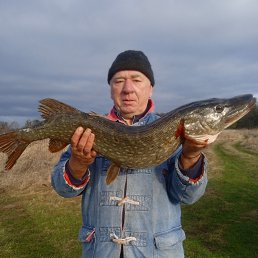  , 62 , -
