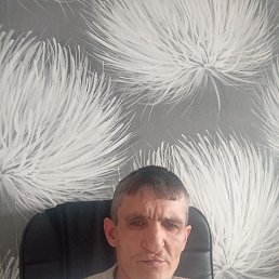 , 41, 