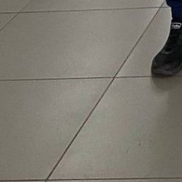 ����, �����-���������, 36 ���