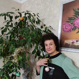 ���� �����, ������������, 62 ���� - ��������� 9 ������� 2026