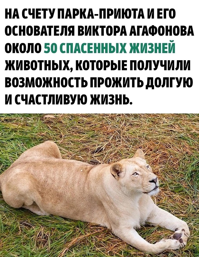  ! - 2