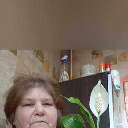 ���� ����, ������� ����, 66 ��� - ��������� 14 ������ 2026