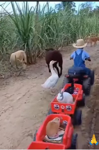 �� �� �, �� �� � ����� )).��� �������� - 8