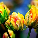 ���� ������, ������ - ��������� 20 ������ 2024 � ������ ������ ��������