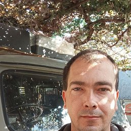 , 38, 