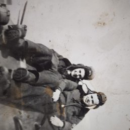 ����, �������, 48 ���