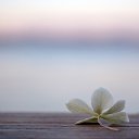 ���� ����, �����������, 31 ��� - ��������� 3 ������� 2024 � ������ ���� ����������