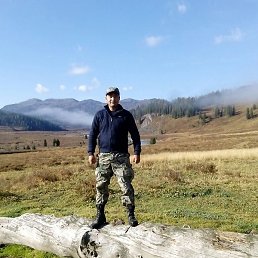 �����, ������, 37 ���