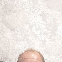 , 43, 