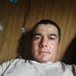 ���� ����, �������, 43 ���� - ��������� 17 �������� 2024