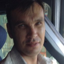 ���������, �������, 41 ���