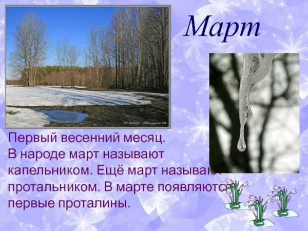 ������ - 15 ����� 2026 � 11:58