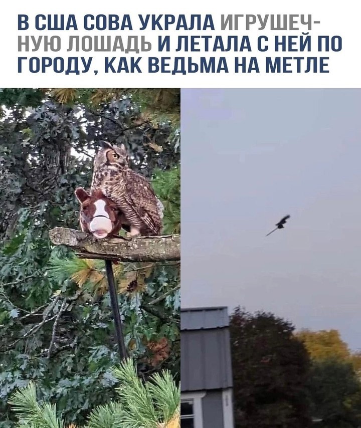   - 6  2024  08:16