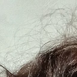 ����, ������� ��������, 48 ���