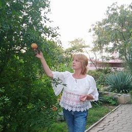 ���� �������, ����, 63 ���� - ��������� 9 ������ 2025