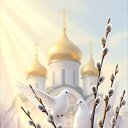 ���� �������, ���������� - ��������� 4 ������ 2026 � ������ ������ ��������