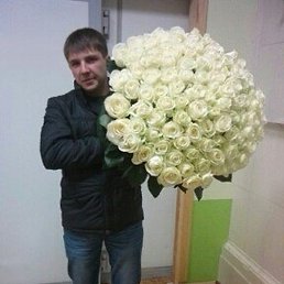 �����, �������, 37 ���