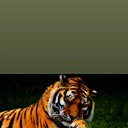 ���� �����, �����-���������, 40 ��� - ��������� 24 ������� 2023 � ������ ���� ����������