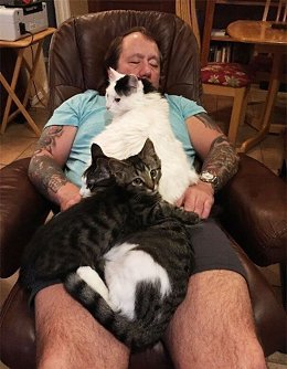 �����������