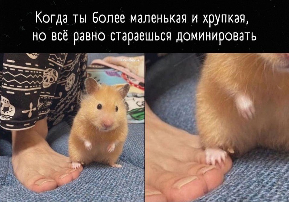,   )