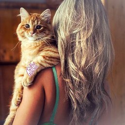 �����, �������