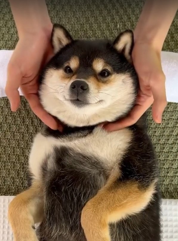     ,      !