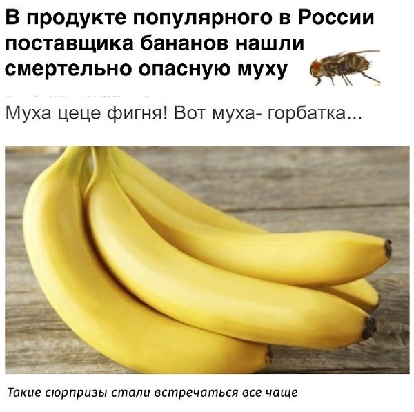   - 20  2024  04:07
